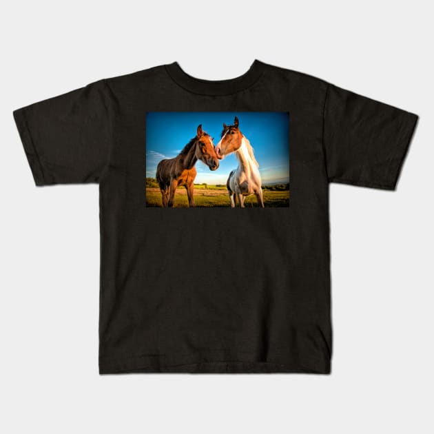 Companions#2 Kids T-Shirt by RJDowns